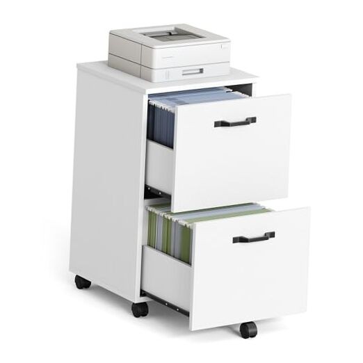 VASAGLE 2-Drawer File Cabinet, Small Rolling Filing Cabinet Snow White Classic