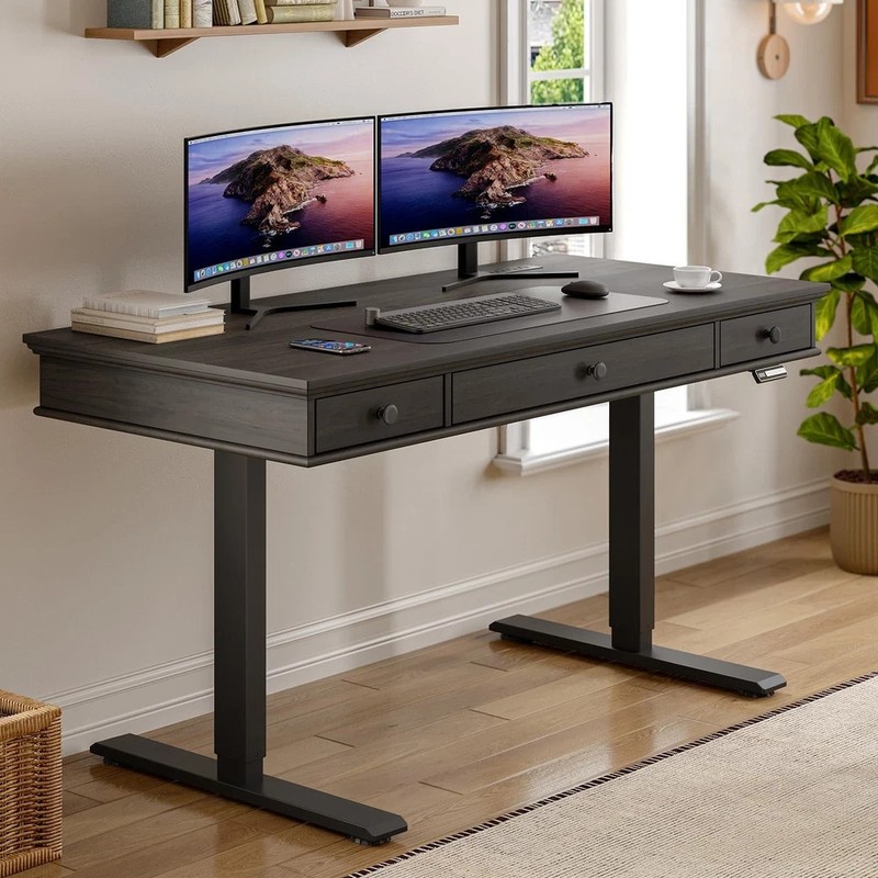 Standing Desk with Drawers 55 x 23 Inch Electric Height Adjustable Desk