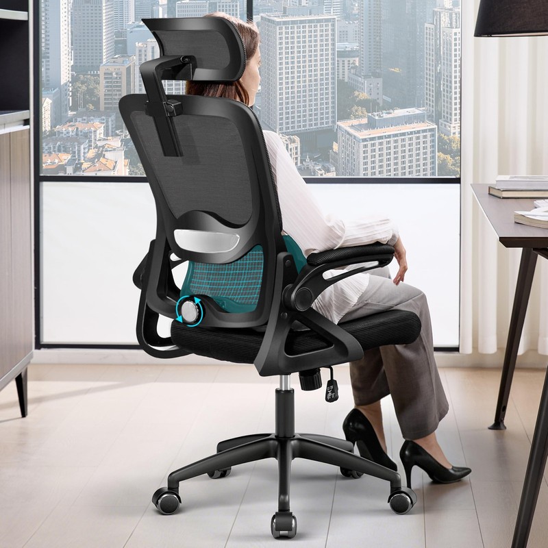 Nexthro Ergonomic Office Chairmesh Office Chair Lumbar Supporthigh Back Desk