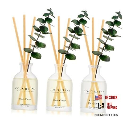 COCORRÍNA Eucalyptus Reed Lavender Eucalyptus/Black Forest/Clean Cotton
