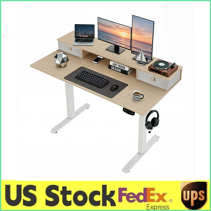 48×24 Inch 160 lbs Electric Standing Desk w/Memory Controller & 2 Height Presets