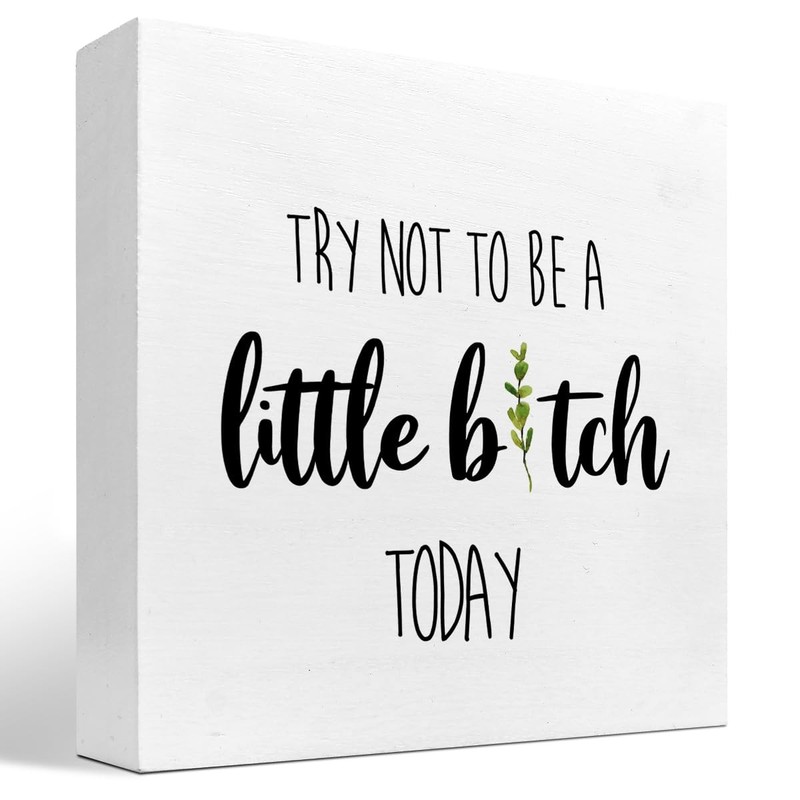 Funny Wood Decor Sign Try Not To Be A Little B Today Humor Box Plaque Desk