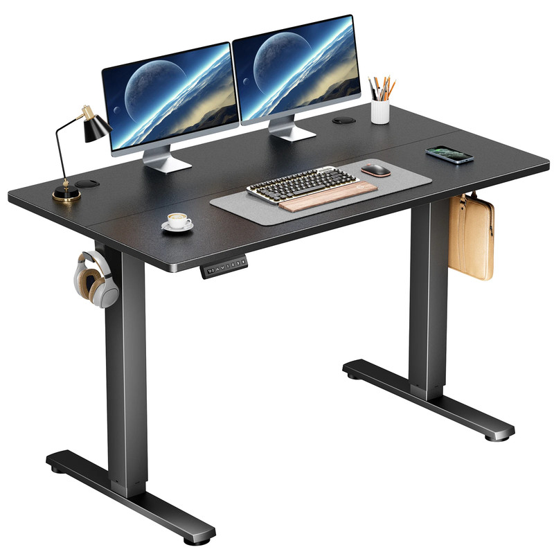 40-63 Inch Electric Standing Desk Home Office Height Adjustable Computer Table