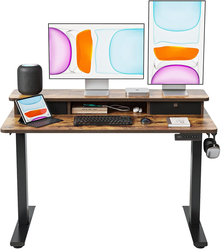 48X24 Inch Electric Standing Desk with Dual Drawers, Height Adjustable Stand up