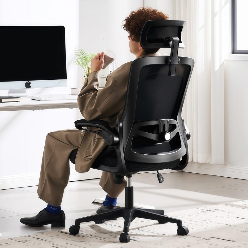 Fizzin Ergonomic Office Chair 400 Lbs Computer Chairs Adjustable Lumbar Support