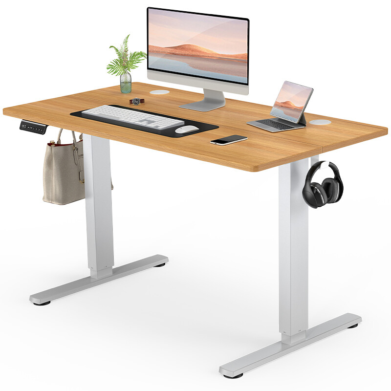 Adjustable Height Electric Home Office Standing Desk for Gaming and Work
