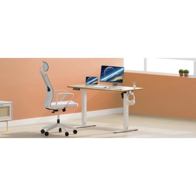 Electric Height Adjustable Standing Desk 40x24 Inch Ergonomic Workstation gallery