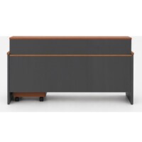 Mueble Recepcionista