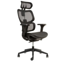 Silla ERGOPLUS Negra