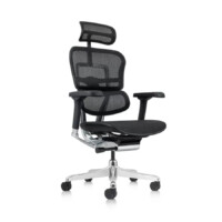 Silla ERGOHUMAN Elite