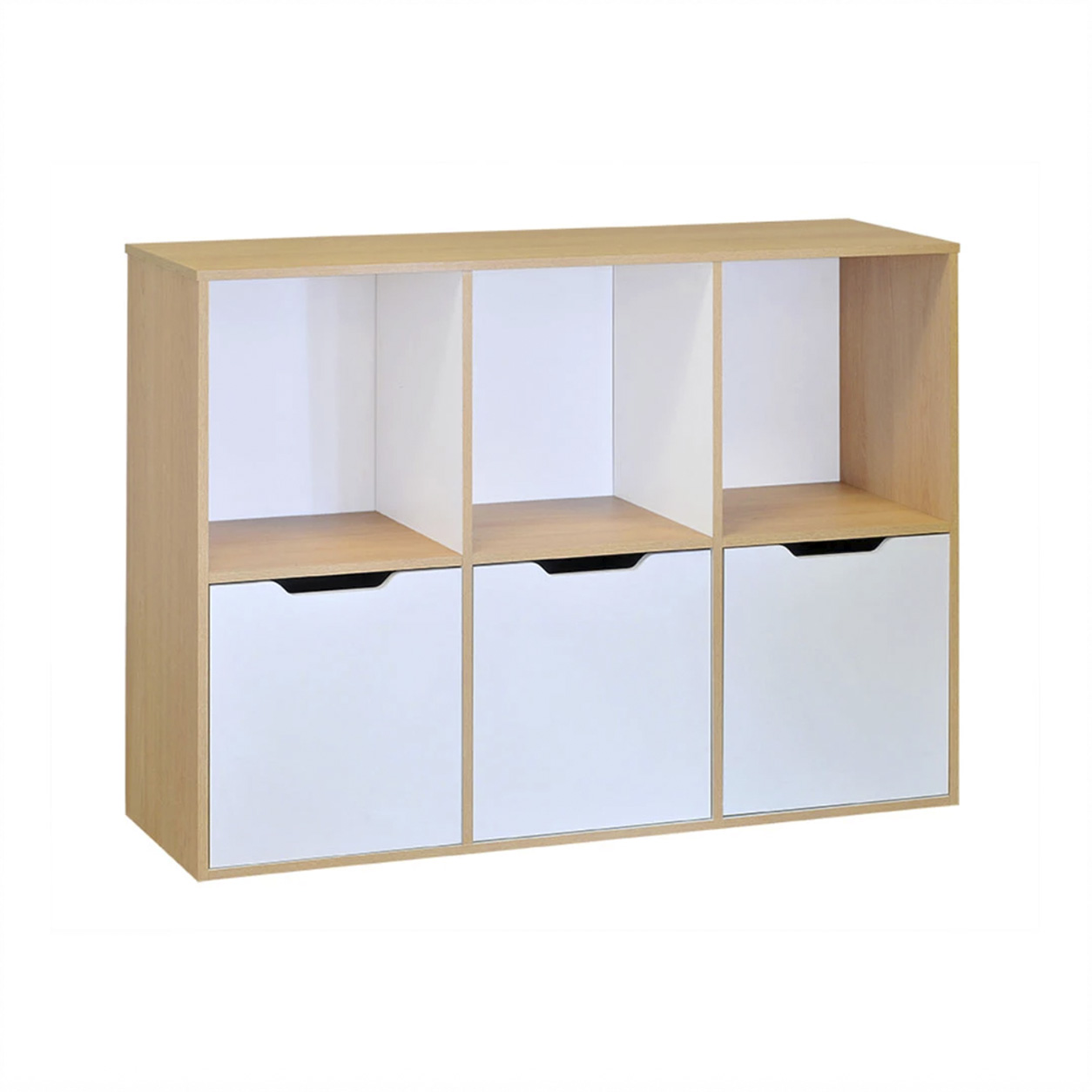 organizador