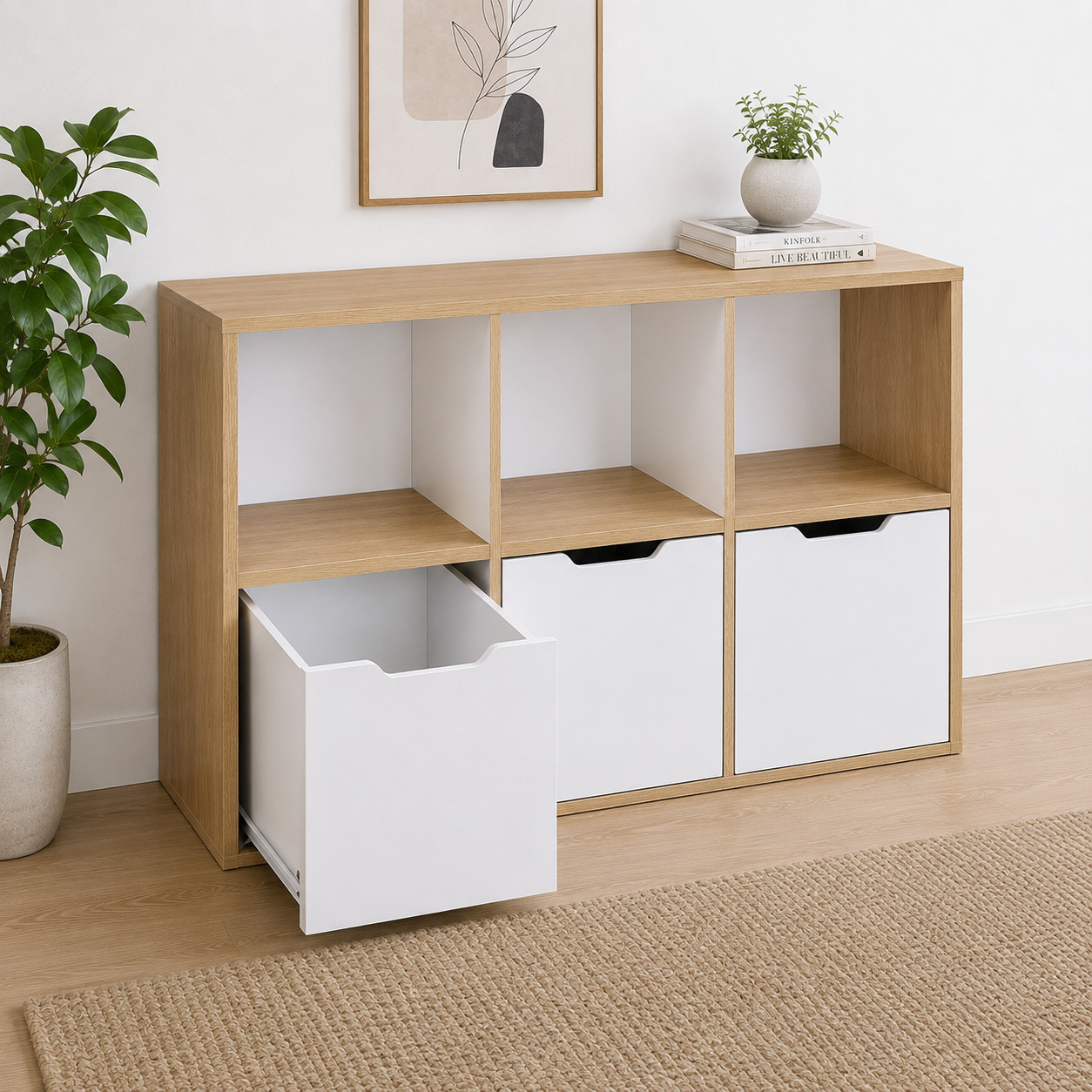 organizador1